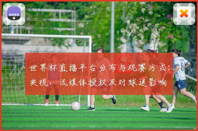世界杯直播平台分布与观赛方式:央视、流媒体授权及对球迷影响