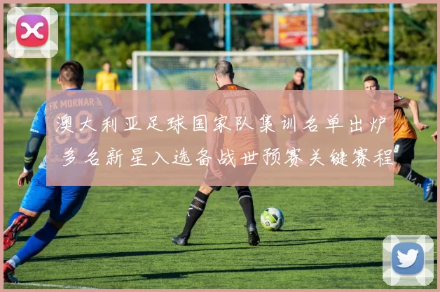 澳大利亚足球国家队集训名单出炉 多名新星入选备战世预赛关键赛程